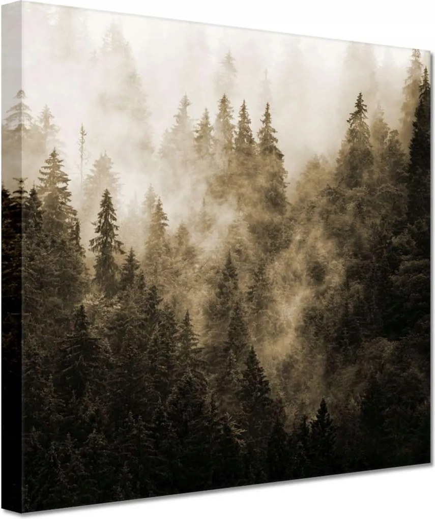 Vászonkép 20x20 Tájkép Szépia Hegyek Köd