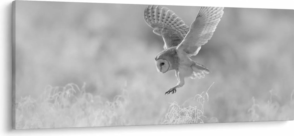 Kép - Bagoly, fekete-fehér (120x50 cm)