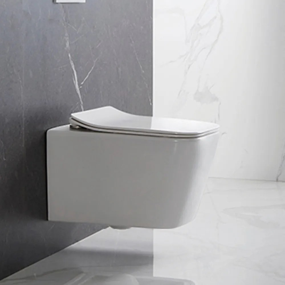 Tina fali rimless WC