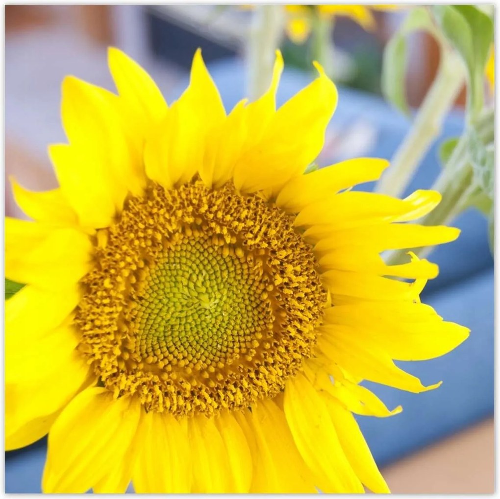 Poszterek 100x100 Nőnap Ajándék Love