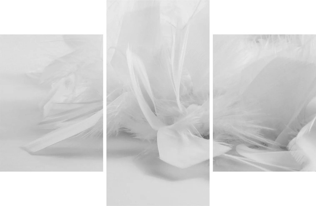 Kép - Tollak (90x60 cm)