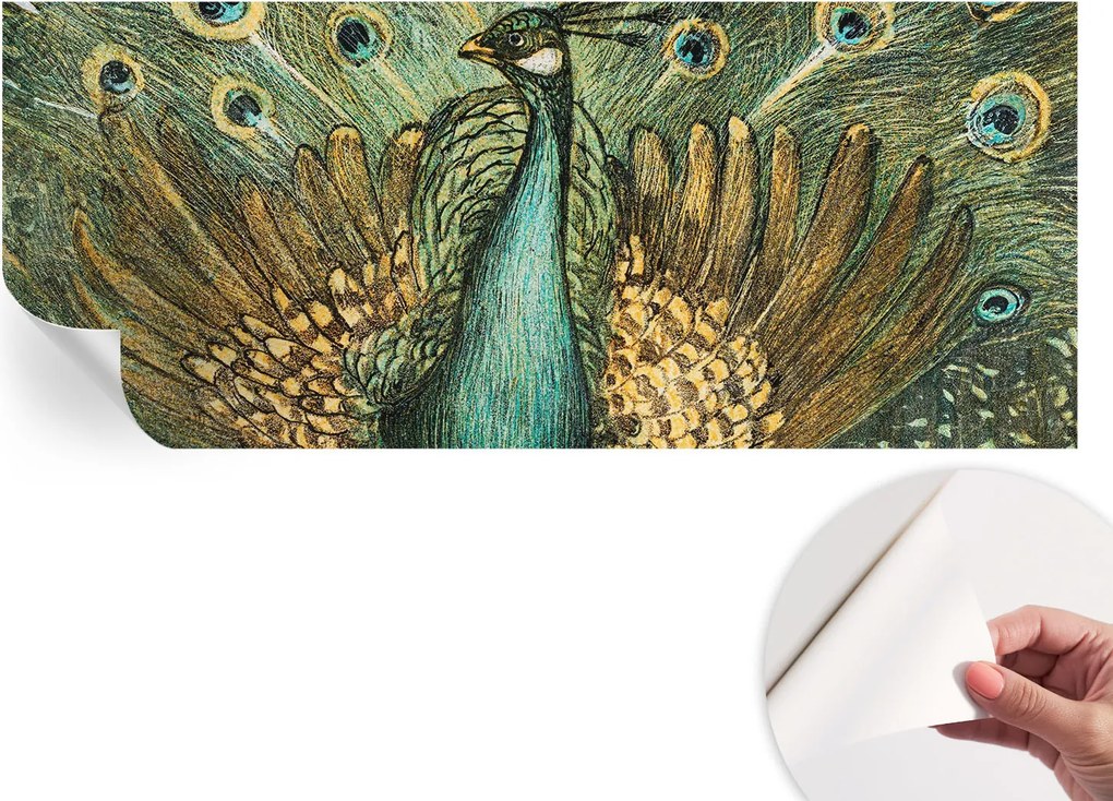 Öntapadós fali fotótapéta Hálószobába Fenséges páva 250x104 cm