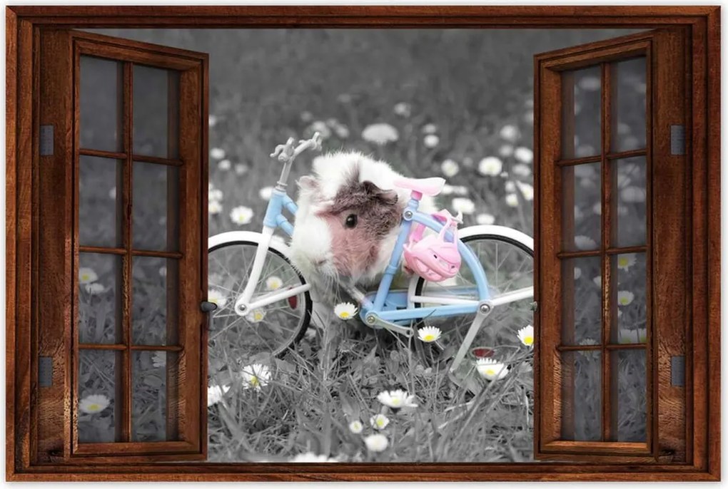 Poszterek 90x60 Tengerimalac kerékpárral