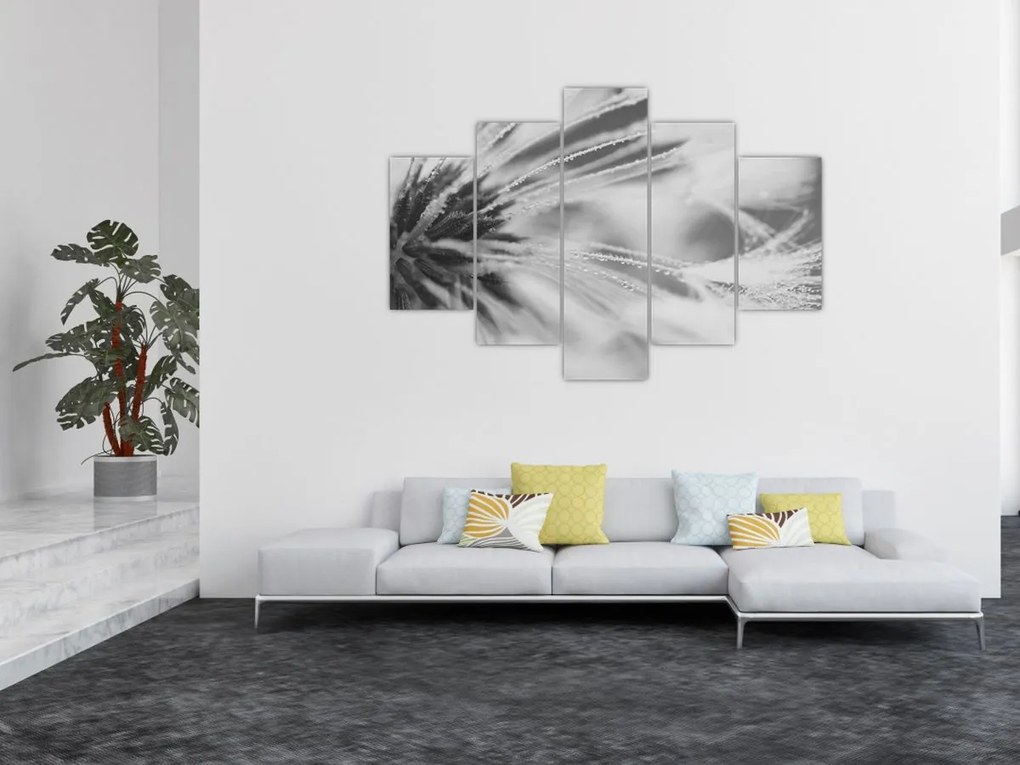 Kép - Pitypang (150x105 cm)