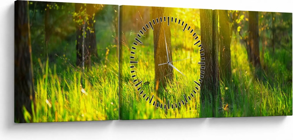 Kép - Az erdő tavaszi ébredése (órával) (90x30 cm)