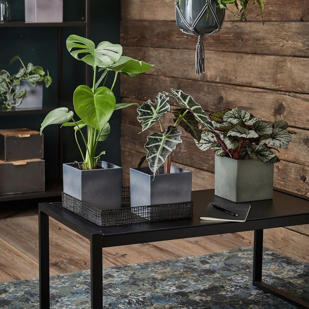 Latina lila kerámia virágcserép, 15 x 15 cm - Big pots