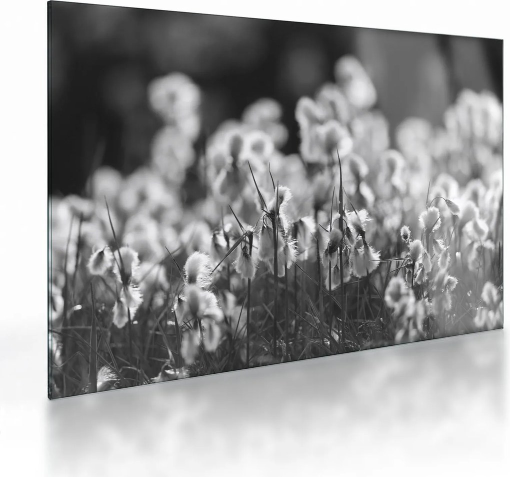Üveg kép - Nyári rét (70x50 cm)
