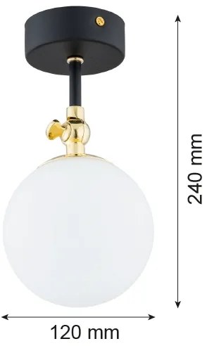 Argon 4003 - Fürdőszobai csillár LATINA 1xE14/7W/230V IP44 fekete/sárgaréz