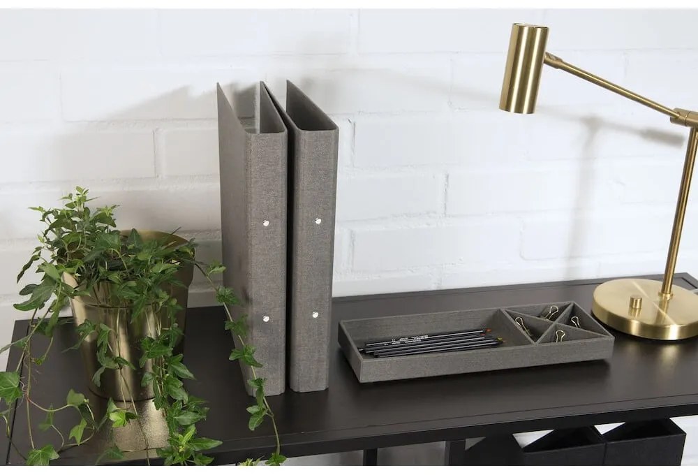 Karton rendszerező dokumentumokhoz Ringo – Bigso Box of Sweden