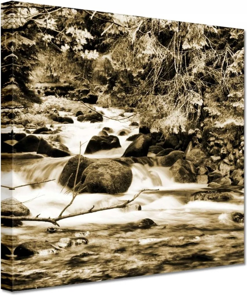 Vászonkép 60x60 Tátra Lengyel hegyek Kilátás