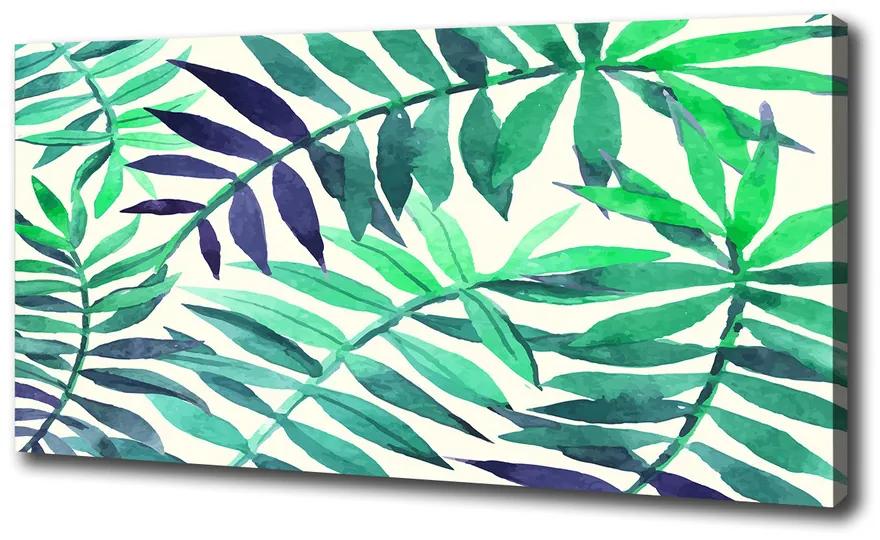 Fali vászonkép Trópusi levelek pl-oc-100x50-f-89951798