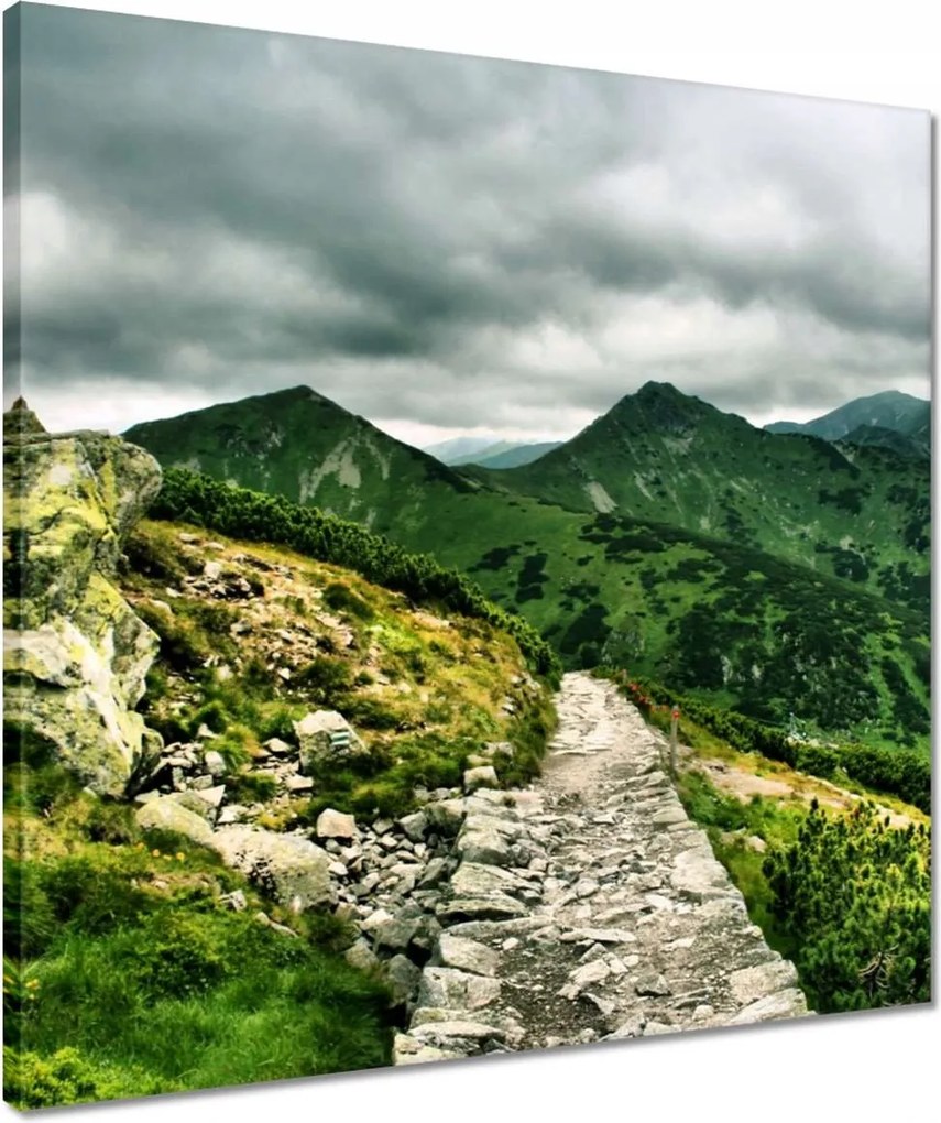 Vászonkép 50x50 Utak a Tátrában