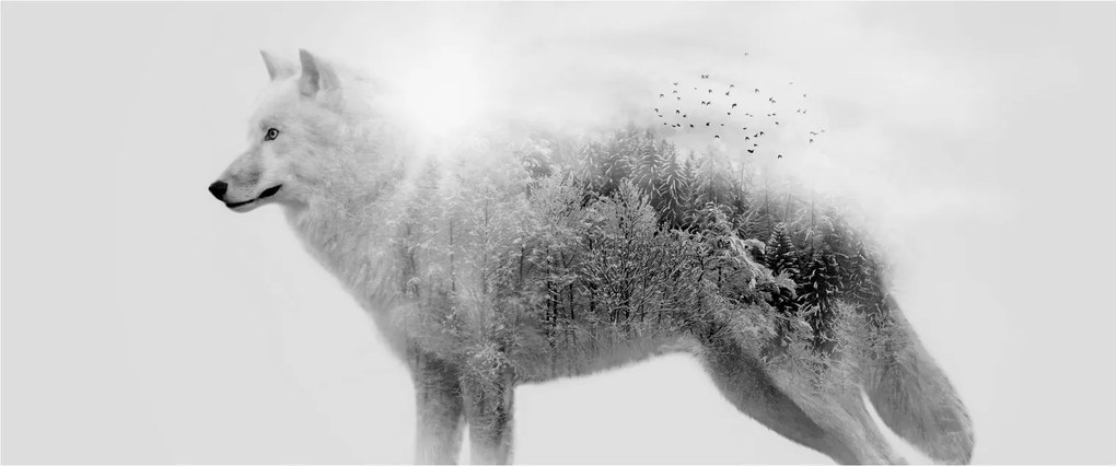 Kép - Vad tájat tükröző sarkvidéki farkas, fekete-fehér (120x50 cm)