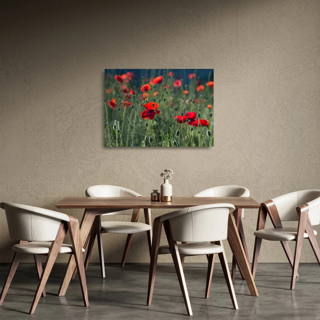 Kép - Rét mák virággal (üvegen) (70x50 cm)