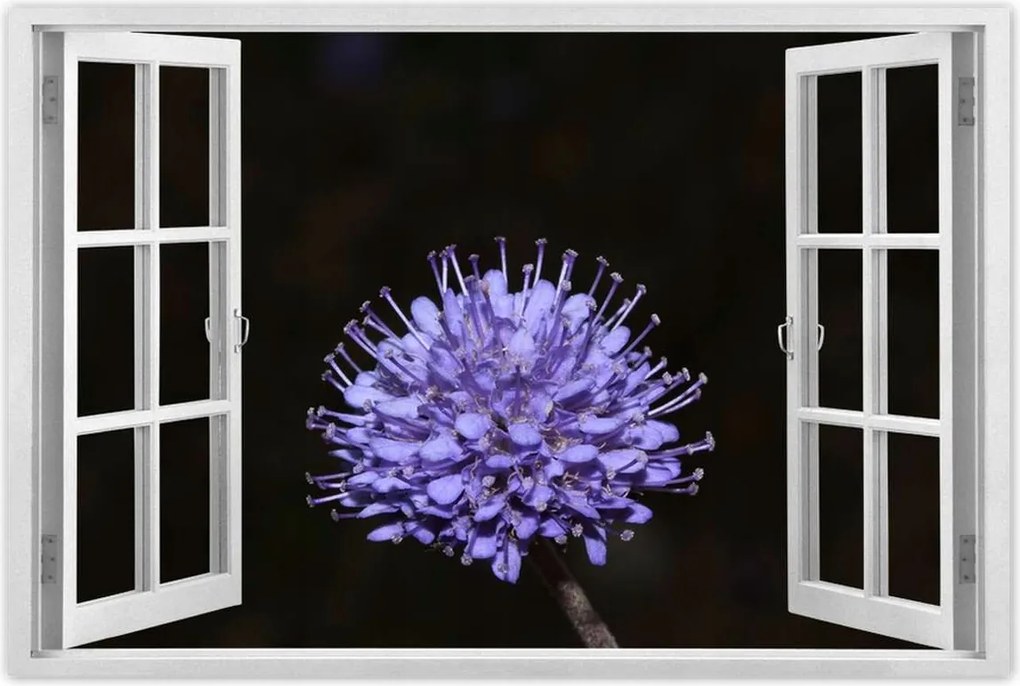 Poszterek 90x60 Nőnap Ajándék Love