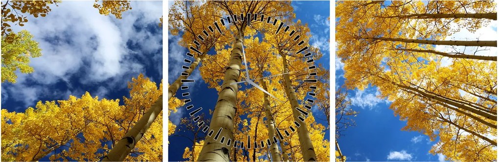 Kép - Aspen (órával) (90x30 cm)