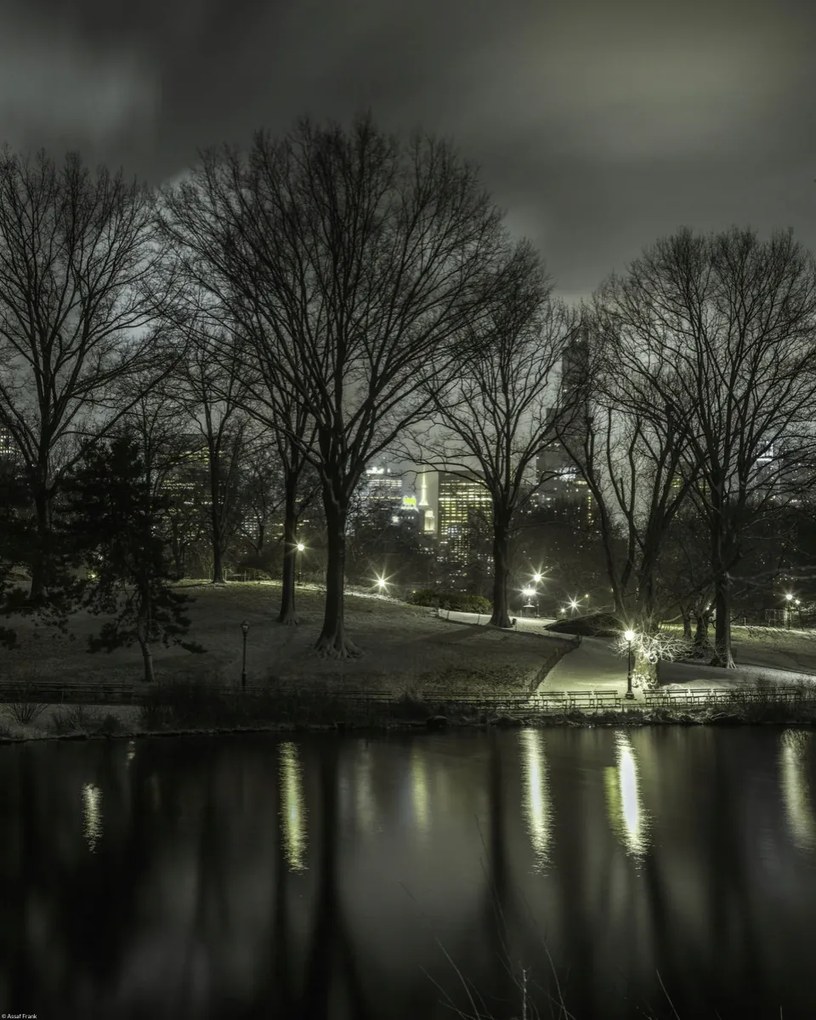 Poszter 40x50cm Central Park éjszaka 2, Assaf Frank