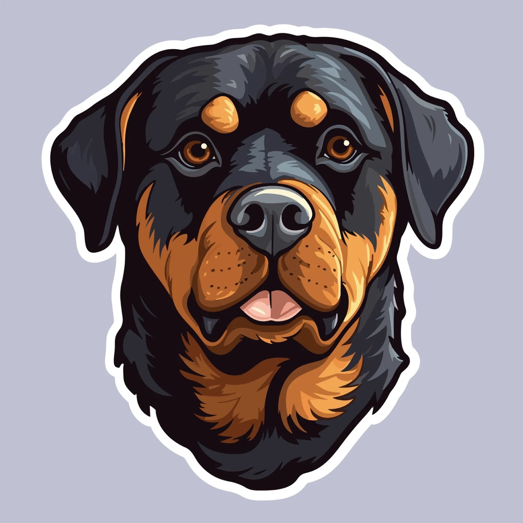 PIPPER. Matrica Rottweiler Méret: 60cm