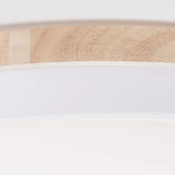 Brilliant - LED Dimmelhető mennyezeti lámpa BAARLO LED/36W/230V átm. 50 cm fehér + távirányító