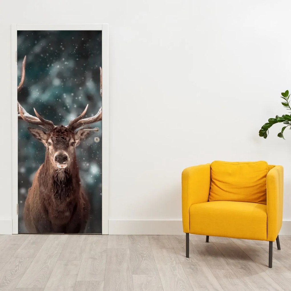 Fotótapéta ajtóra - Egy szarvas fensége (95x205cm)