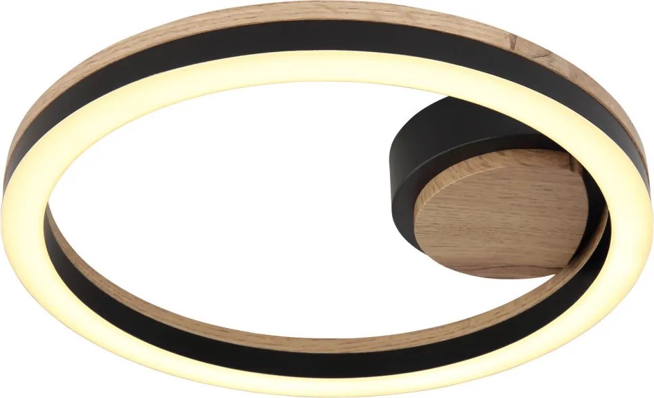 GLOBO 67298D BEATRIX Modern LED Mennyezeti Lámpa LED IP20