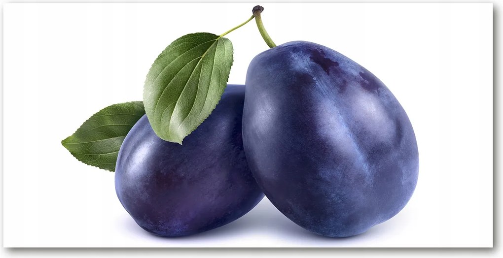 Fotó vászonkép edzett üveg Szilva 140x70