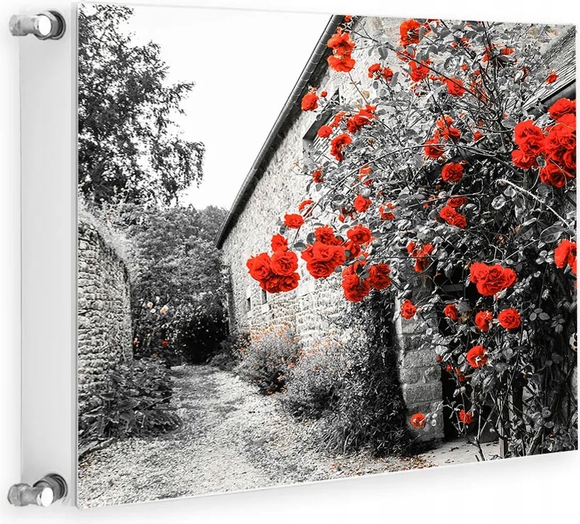 Mágneses Radiátorvédő 60x60 Virágok Fotótapéta