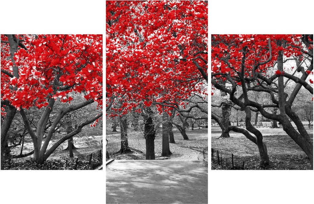 Kép - vörös fák,Central Park, New York (90x60 cm)