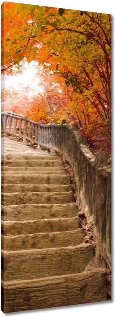 Vászonkép 40x100 Őszi séta Lépcsők