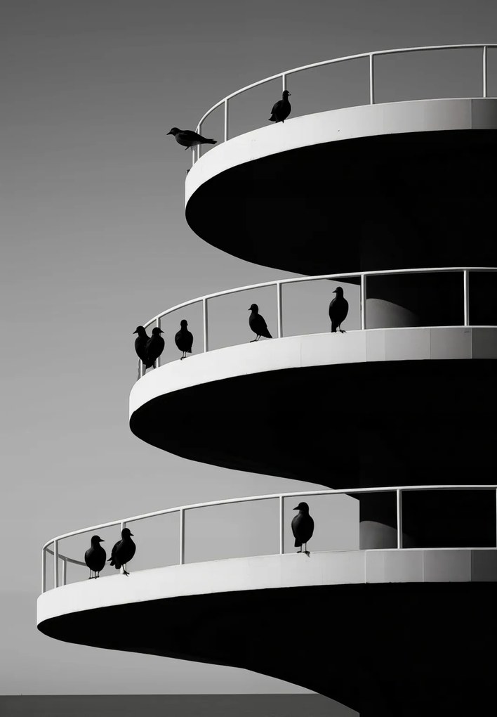 Poszter 68x98cm Holló árnyalatok