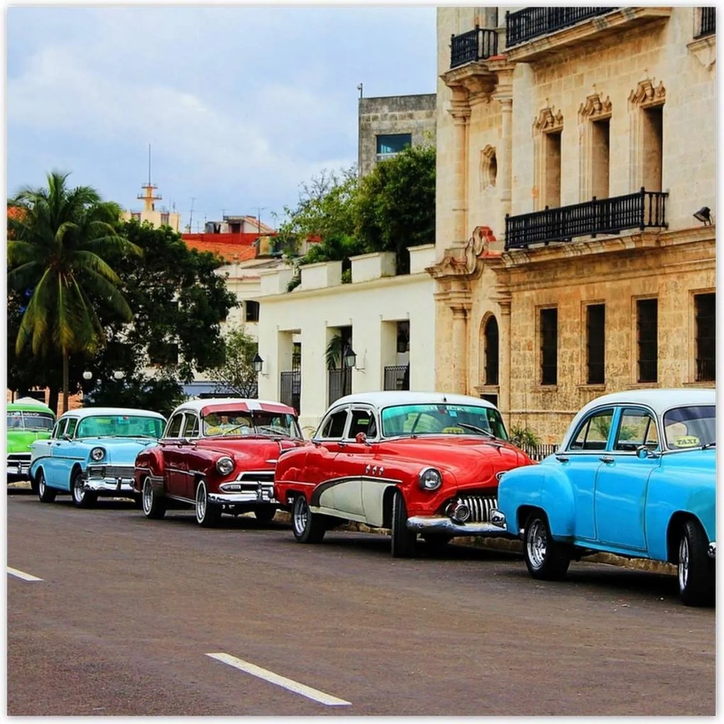 Poszterek 100x100 Kubai autók