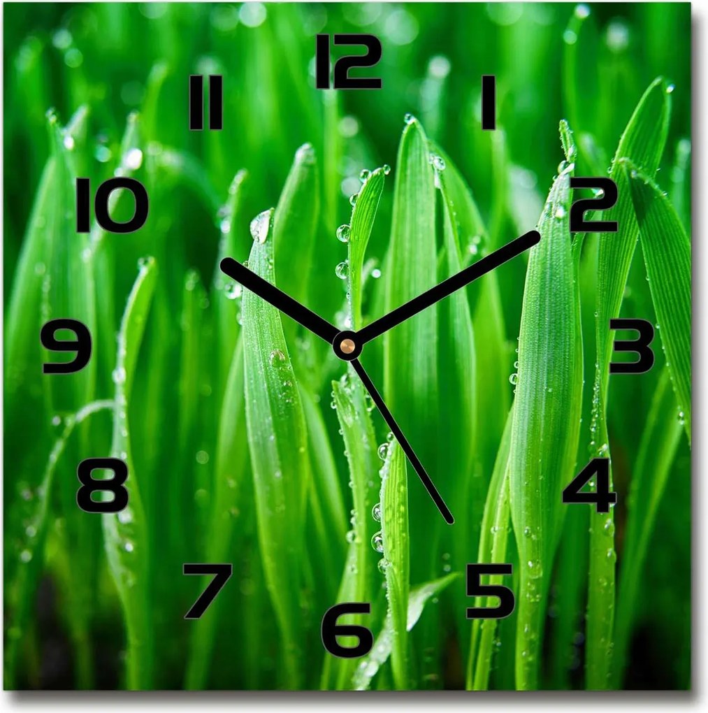 Gyönyörű csendes üveg falióra nappaliba Fű 30x30