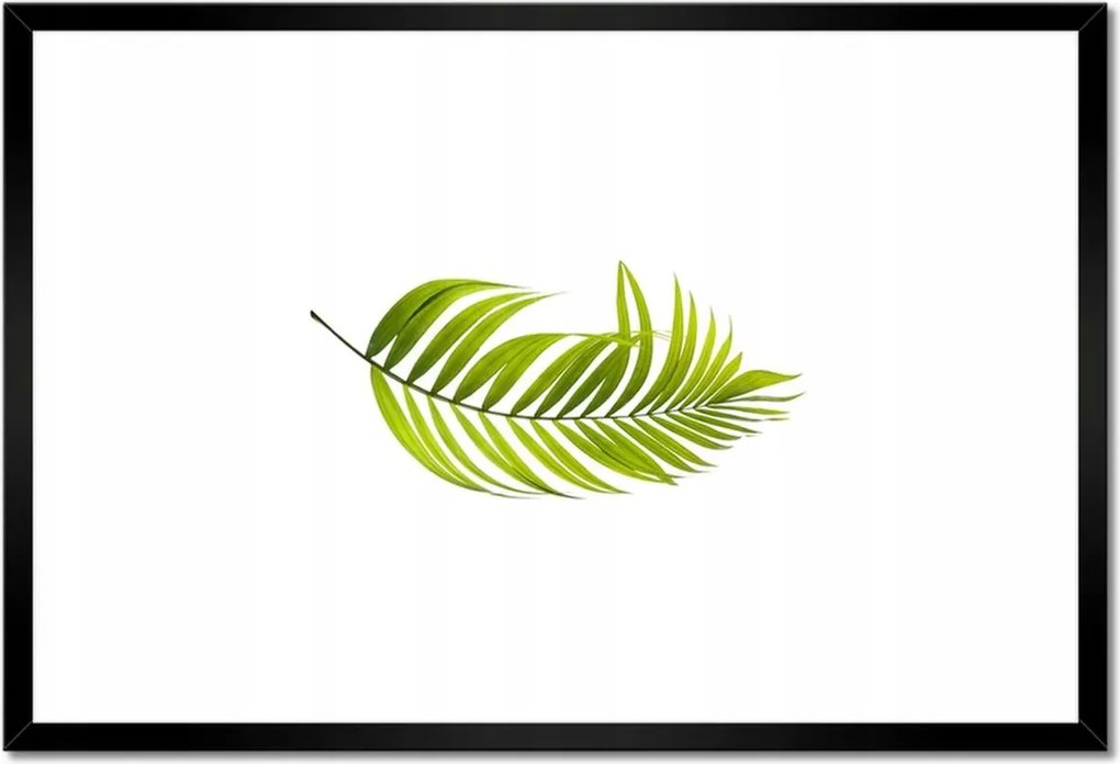 Poszterek keretben 60x40 Zöld levél Minimalizmus