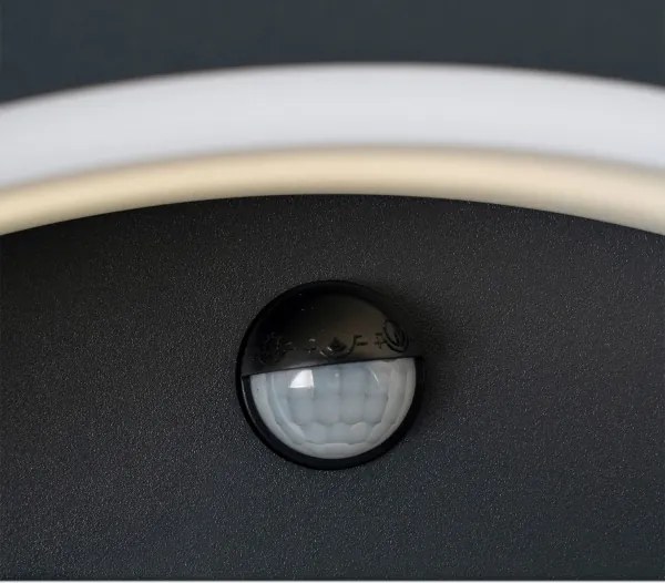 Brilagi - ARCELO LED kültéri fali lámpa szenzorral LED/8W/230V IP54