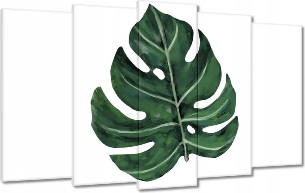 Vászonkép 100x60 Monstera Zöld levél