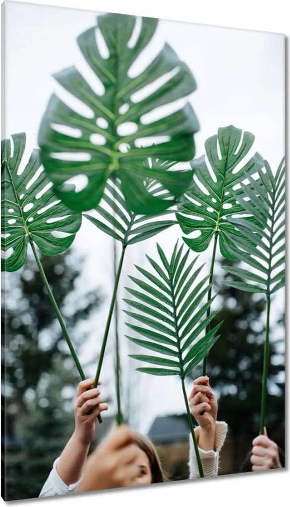 Vászonkép 80x120 Mosnter levelei lyukas