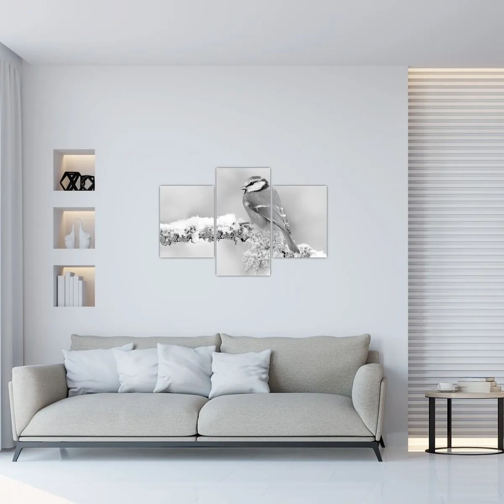 Kép - Egy madár egy ágon (90x60 cm)