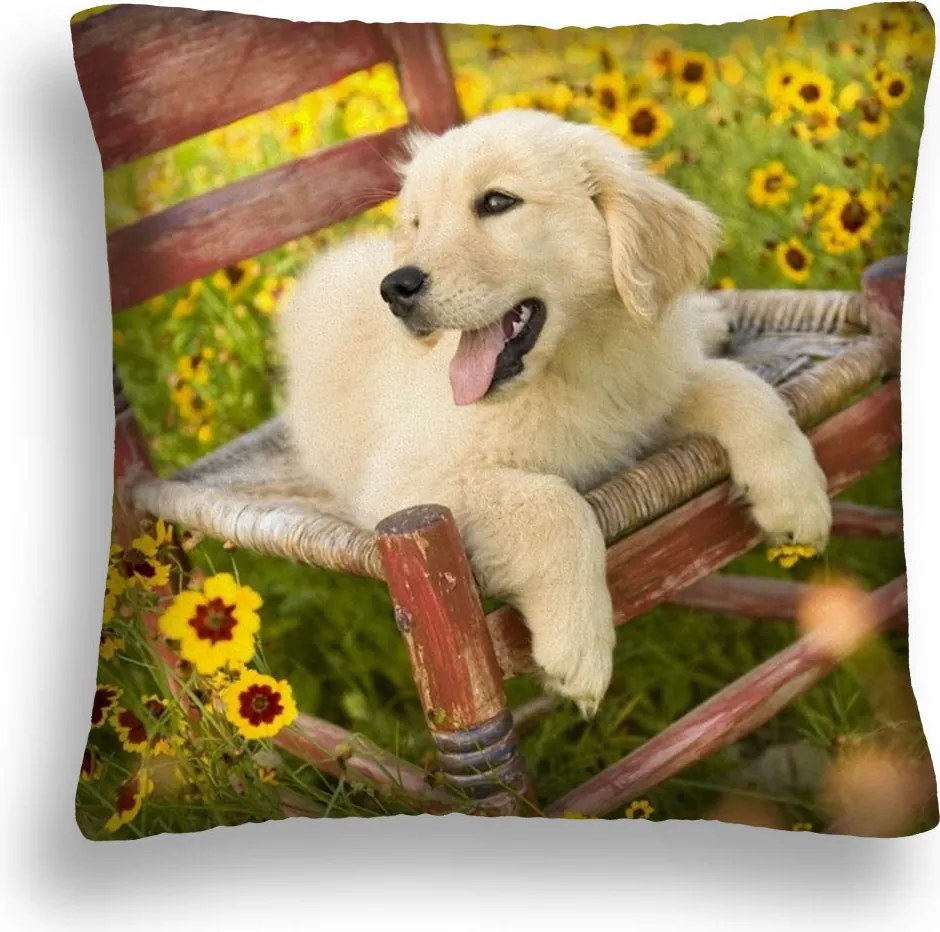 Kutya Párna 05 Jancsi 40X40 Párnahuzat Szék Virágok 60x60