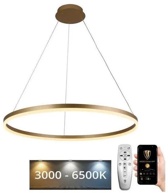NEDES LED dimmelhető csillár zsinóron LED/55W/230V 3000-6500K + távirányítás ND3441