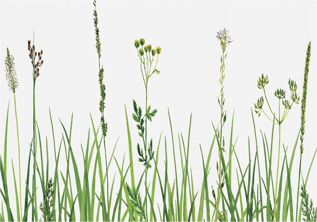 Flizelin fotótapéta Flizelin Design Finom növényvilág 208x146