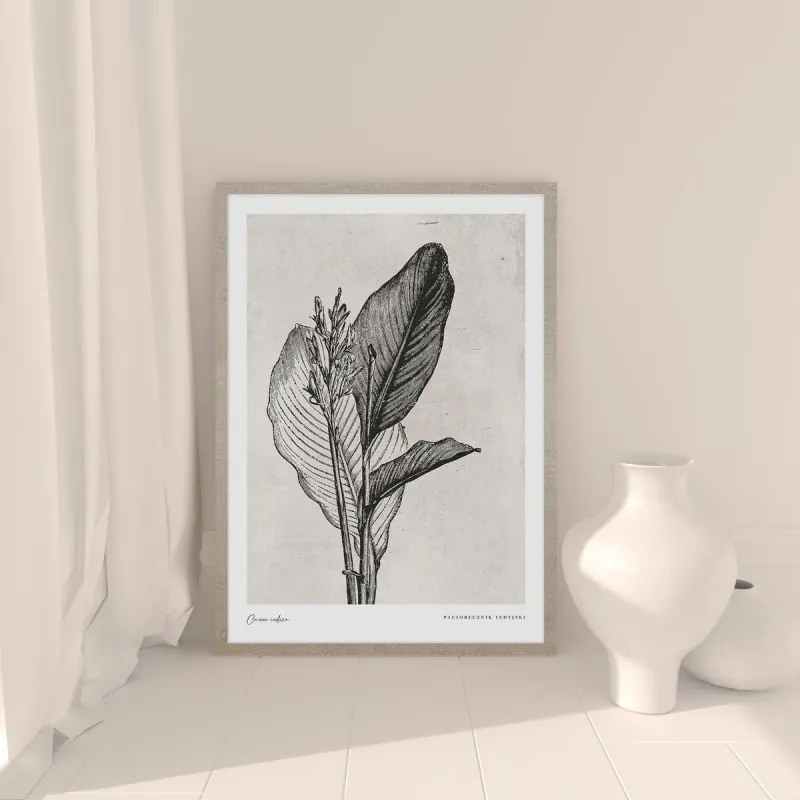 Canna indica leaves kép