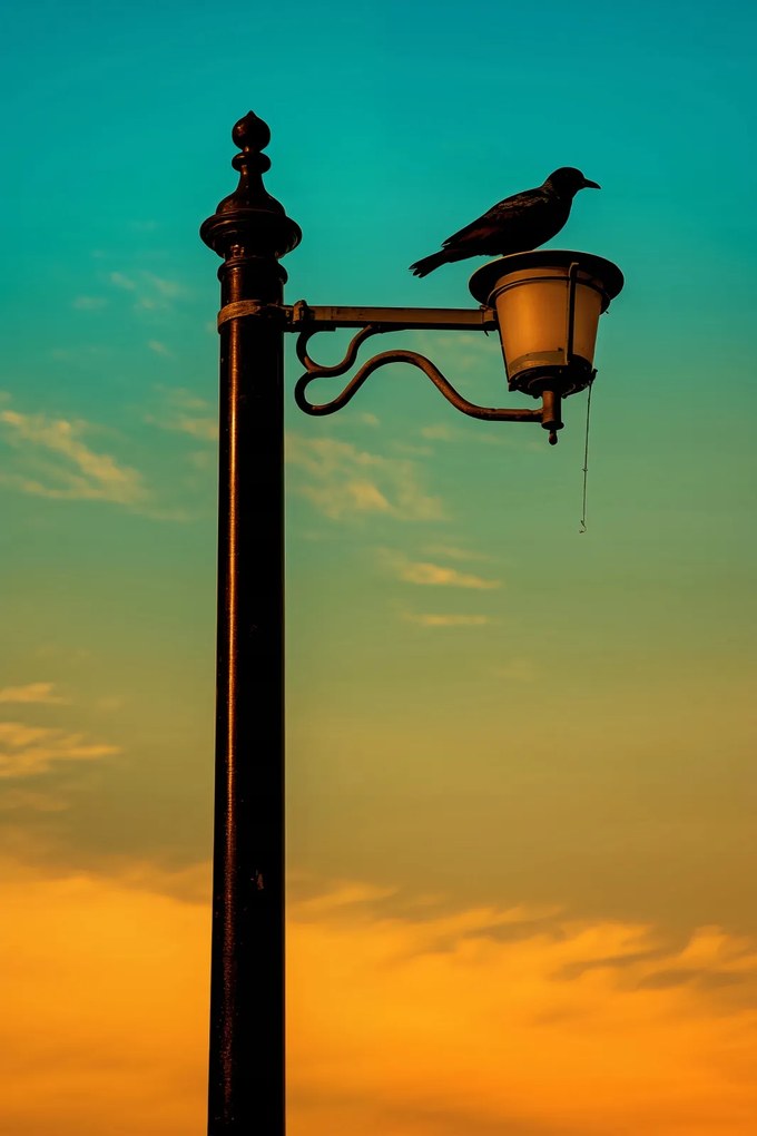 Poszter 20x30cm Nyugat a Lámpásban