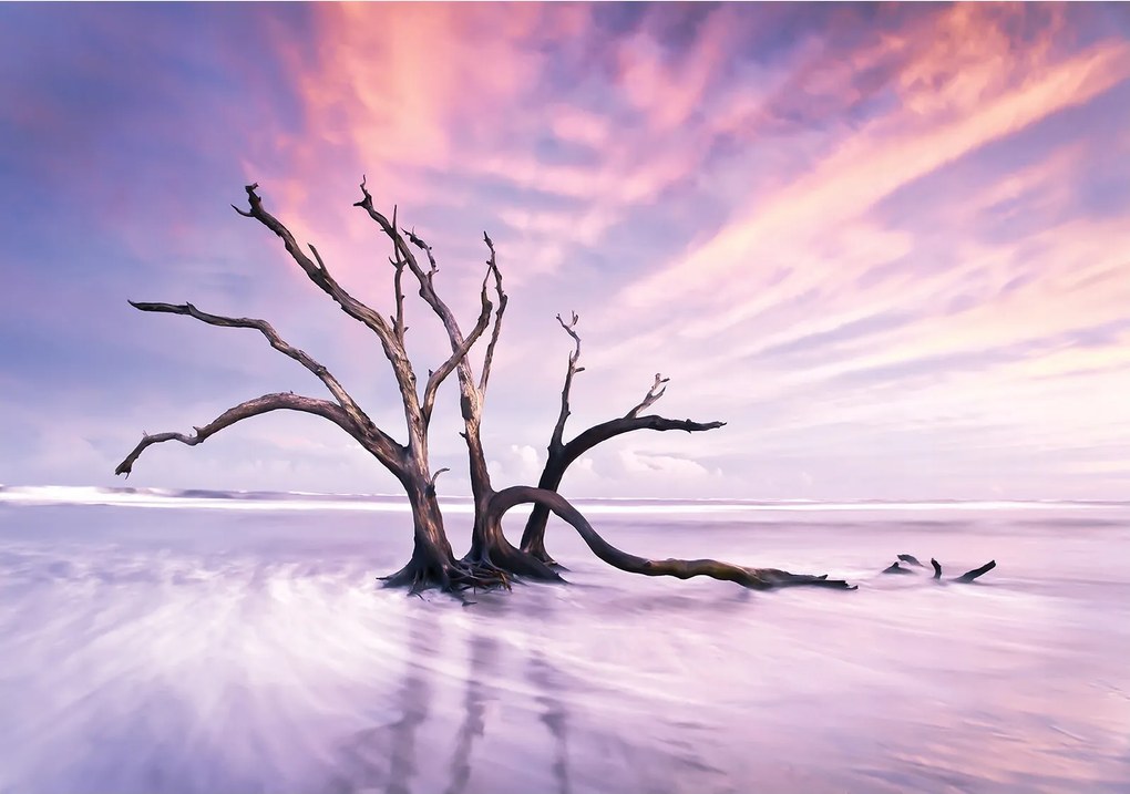 Fotótapéta Fa a vízen pasztell nyugalom szimfónia 416x254 vinil +ragasztó