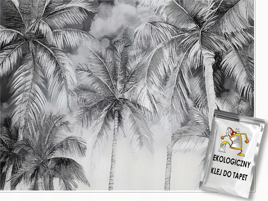 Fotótapéta Pálmafák Fekete-fehér Hálószoba Nappali Tapéta Flizelina 150x105