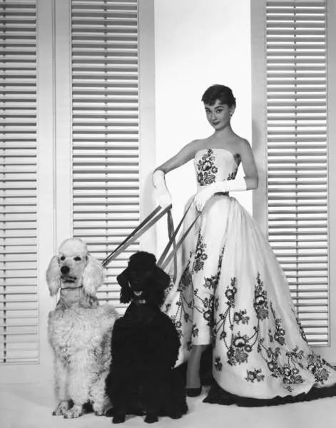 Fotográfia Audrey Hepburn