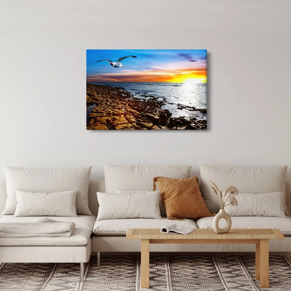 Kép - Sirály repül a tengerpart felett (90x60 cm)