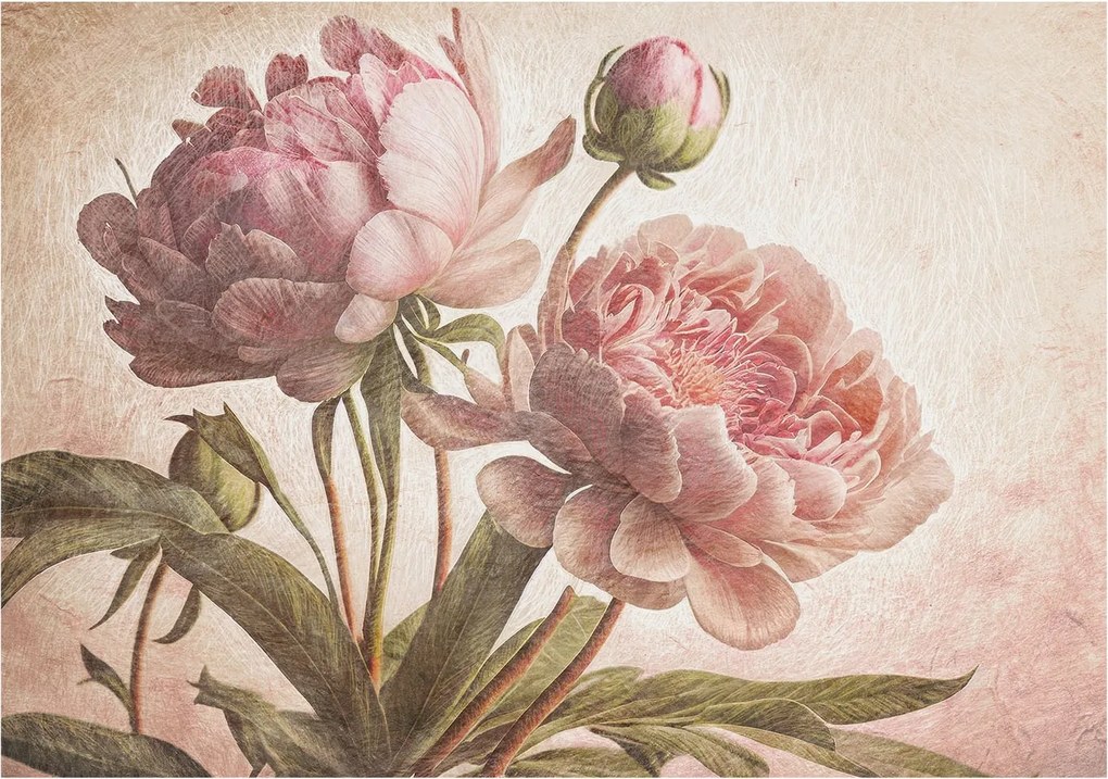 Fali fotótapéta előszoba konyhába Finom bazsarózsa 312x219 ragasztó