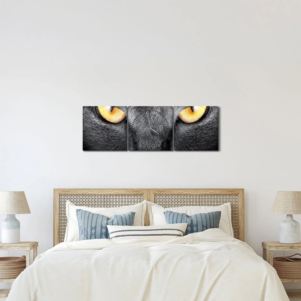 Kép - Közeli portré egy macskáról (órával) (90x30 cm)