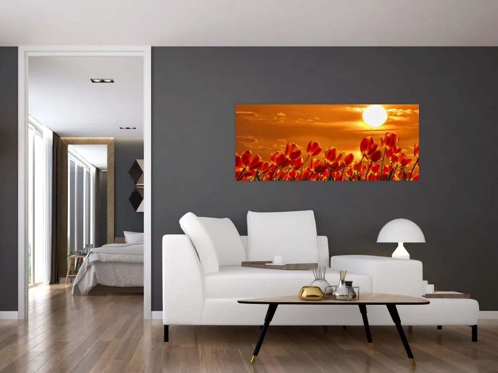 Kép egy virágzó mező tulipánokkal (120x50 cm)