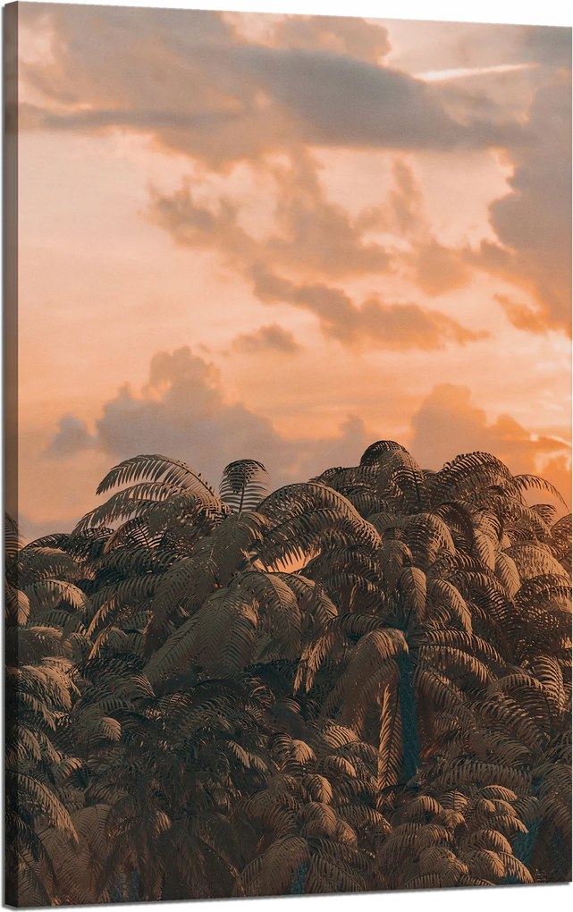 Vászonkép Fák Naplemente Felhők Égbolt 50x80 cm